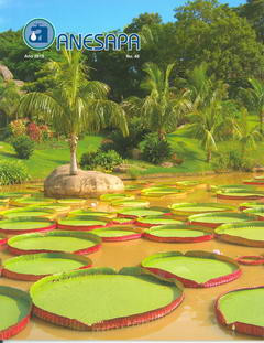 Revista Nº 46