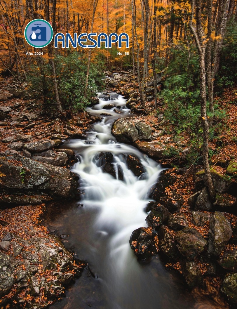 Revista No. 55
