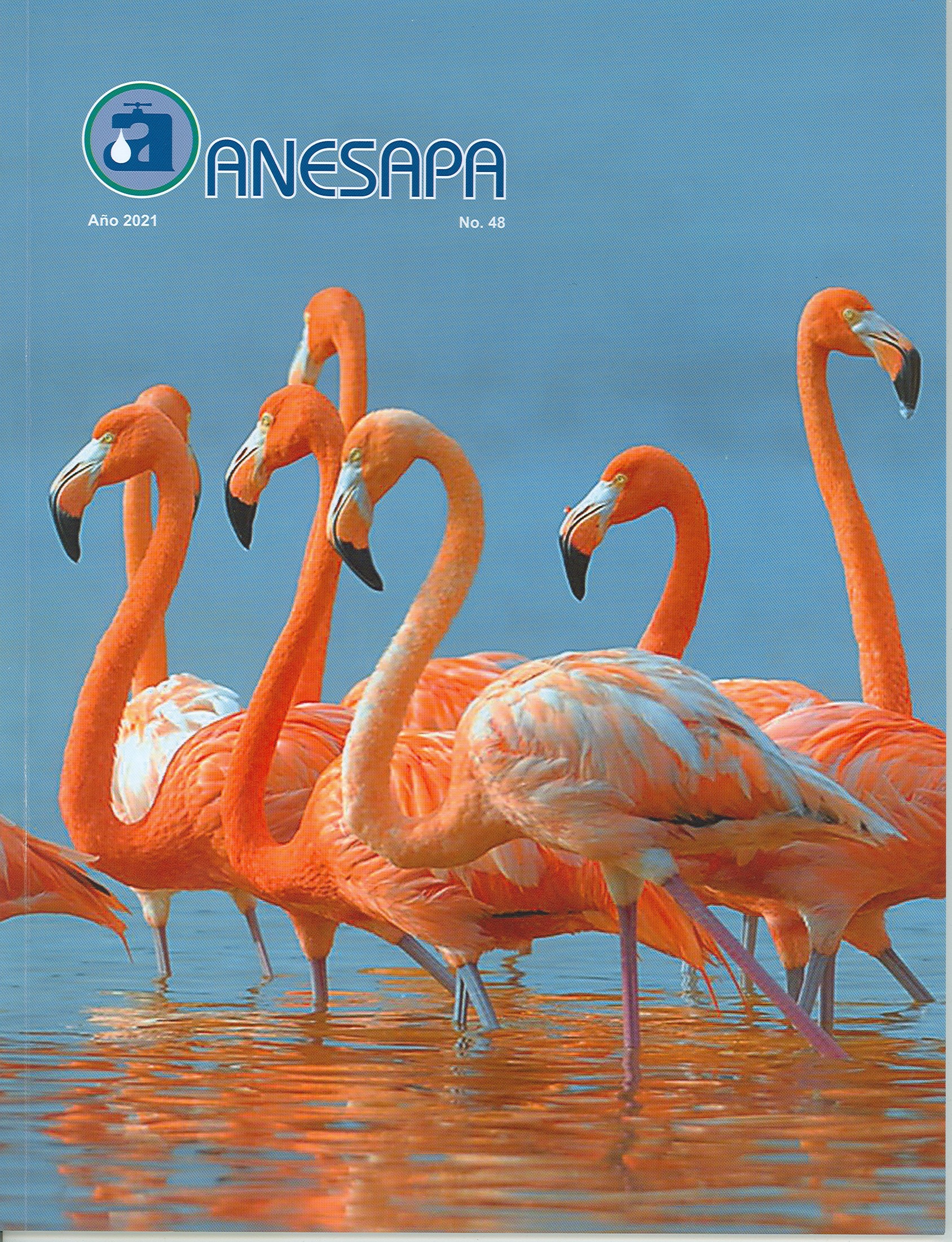 Revista No. 48
