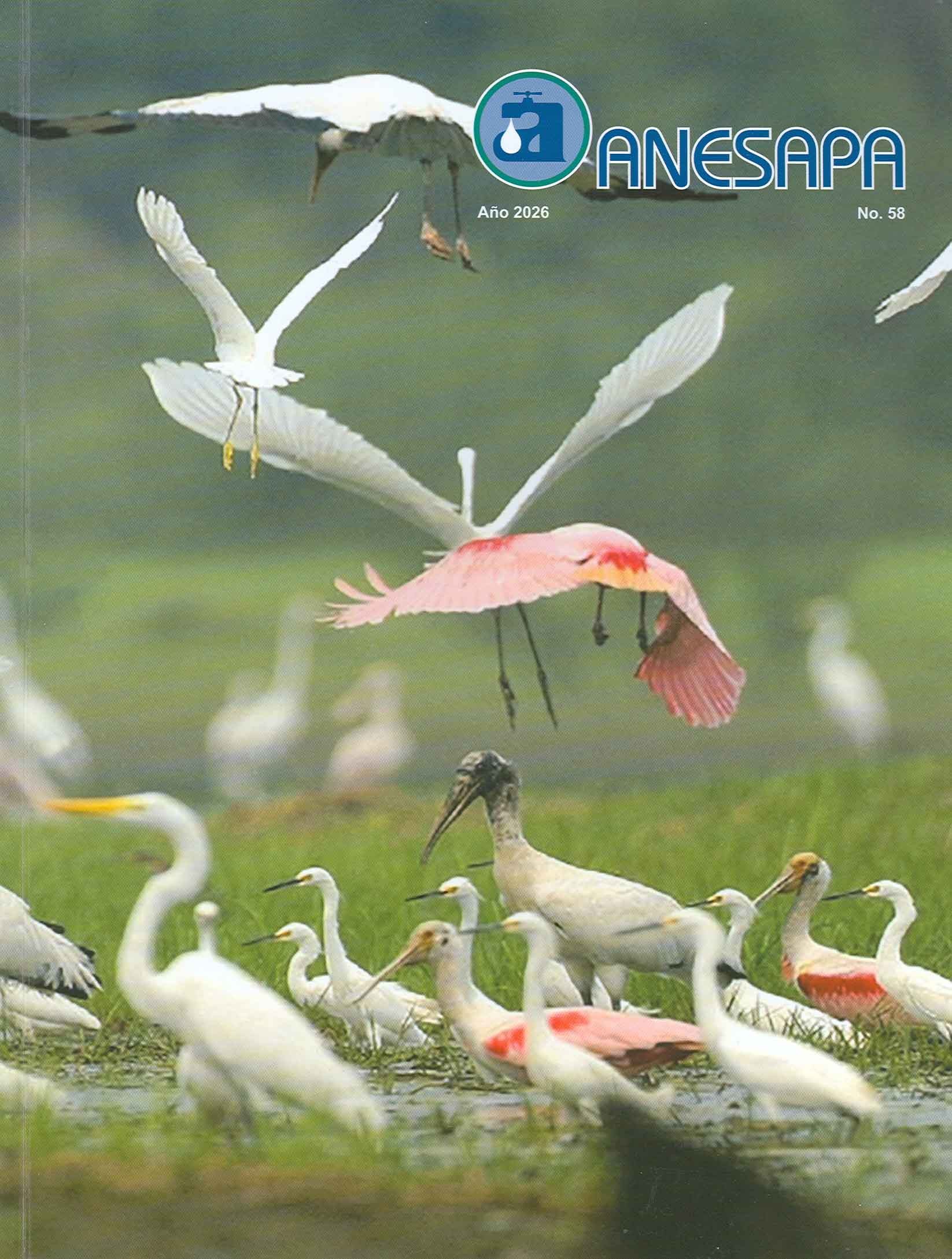 Revista No. 58