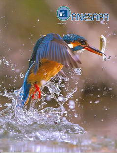 Revista Nº 43