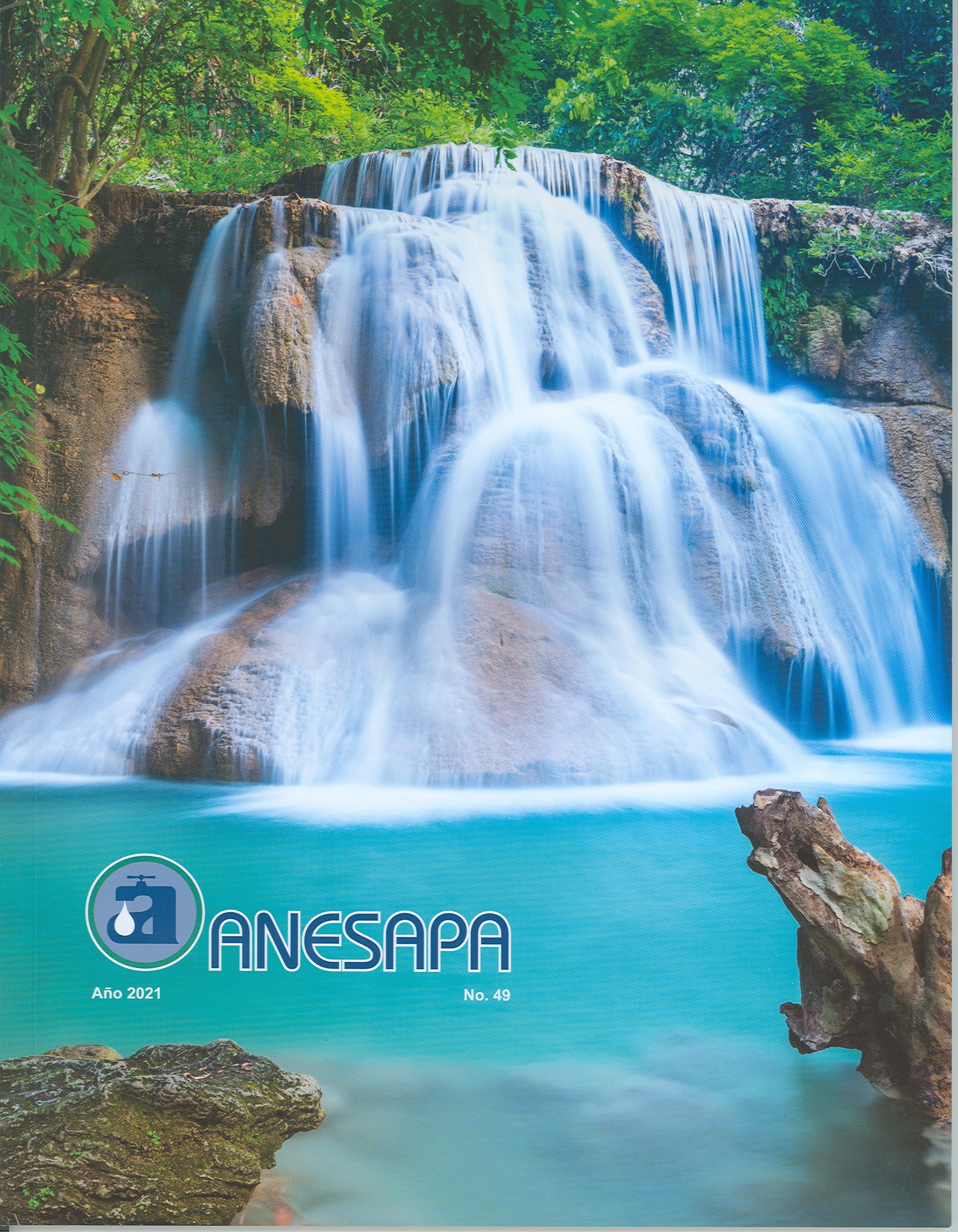 Revista No. 49