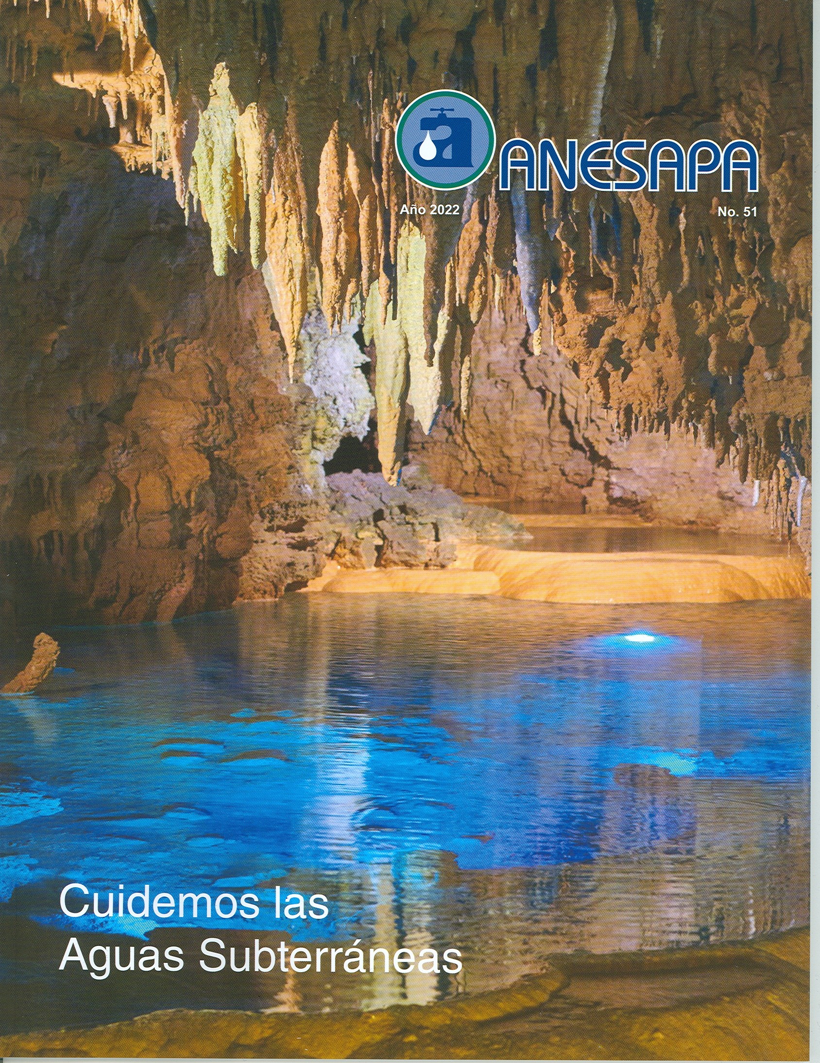 Revista No. 51