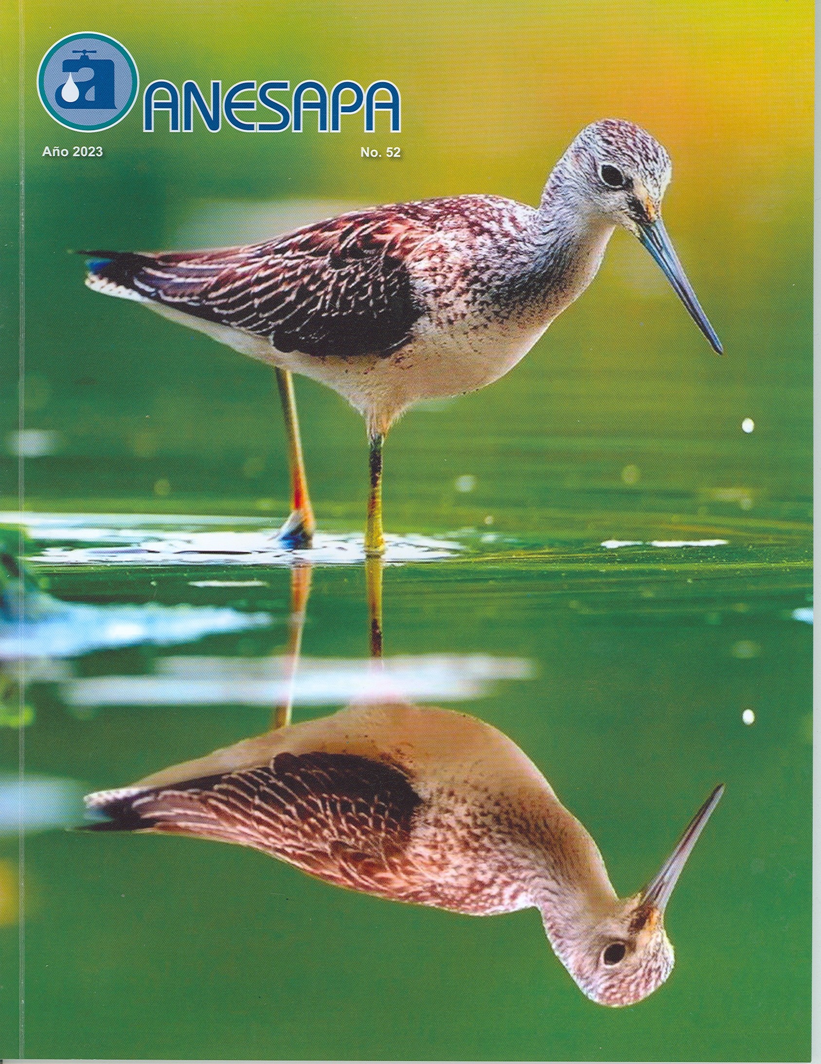 Revista No. 52