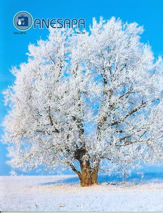 Revista Nº 39