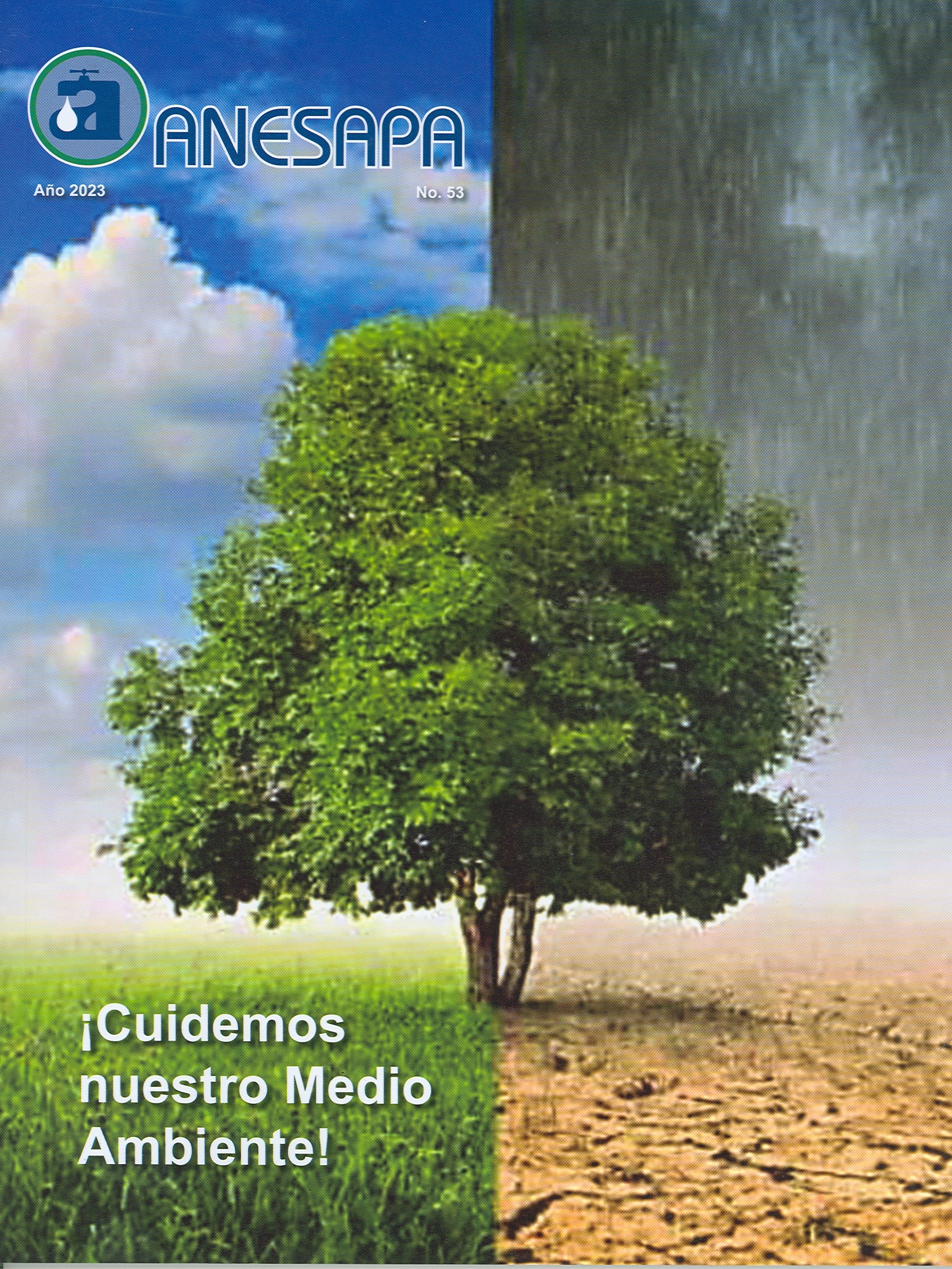 Revista No. 53