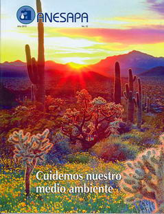 Revista Nº 32