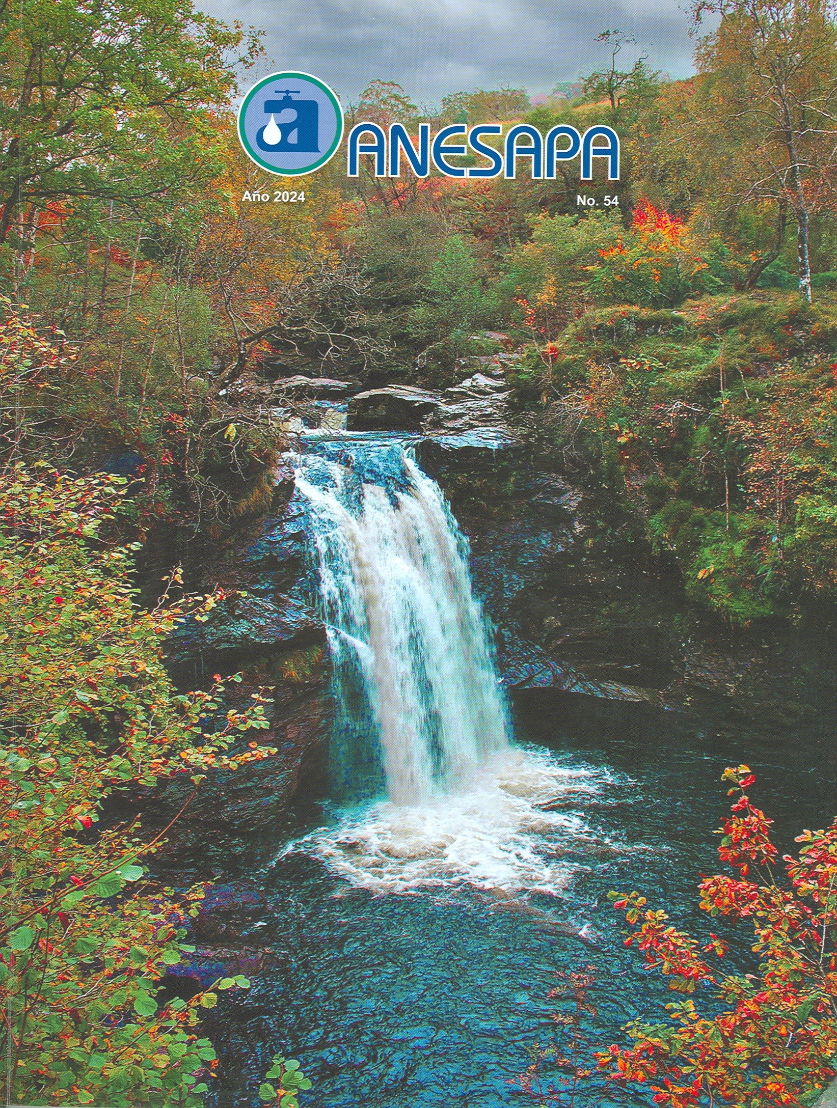 Revista No. 54