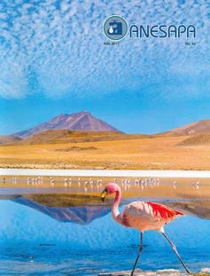 Revista Nº 42