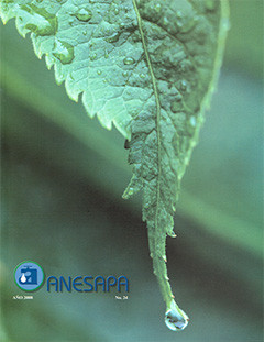 Revista Nº 24